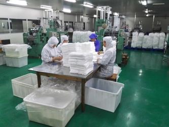 Wuhan Topsun International Trade Co.,Ltd Company Profile